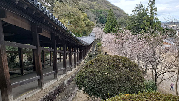 一からの歴史分野(古代−中世)